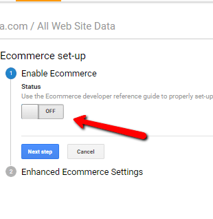 ecommerce setting is turn on in analytics